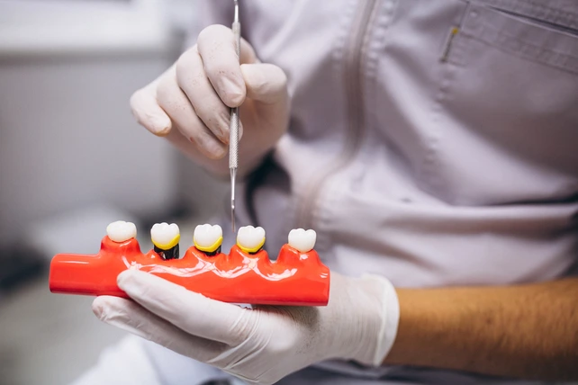 Dentista com um modelo anatômico mostrando o que é uma coroa dentária.